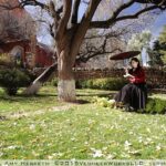 Olalla – Streaming Now!